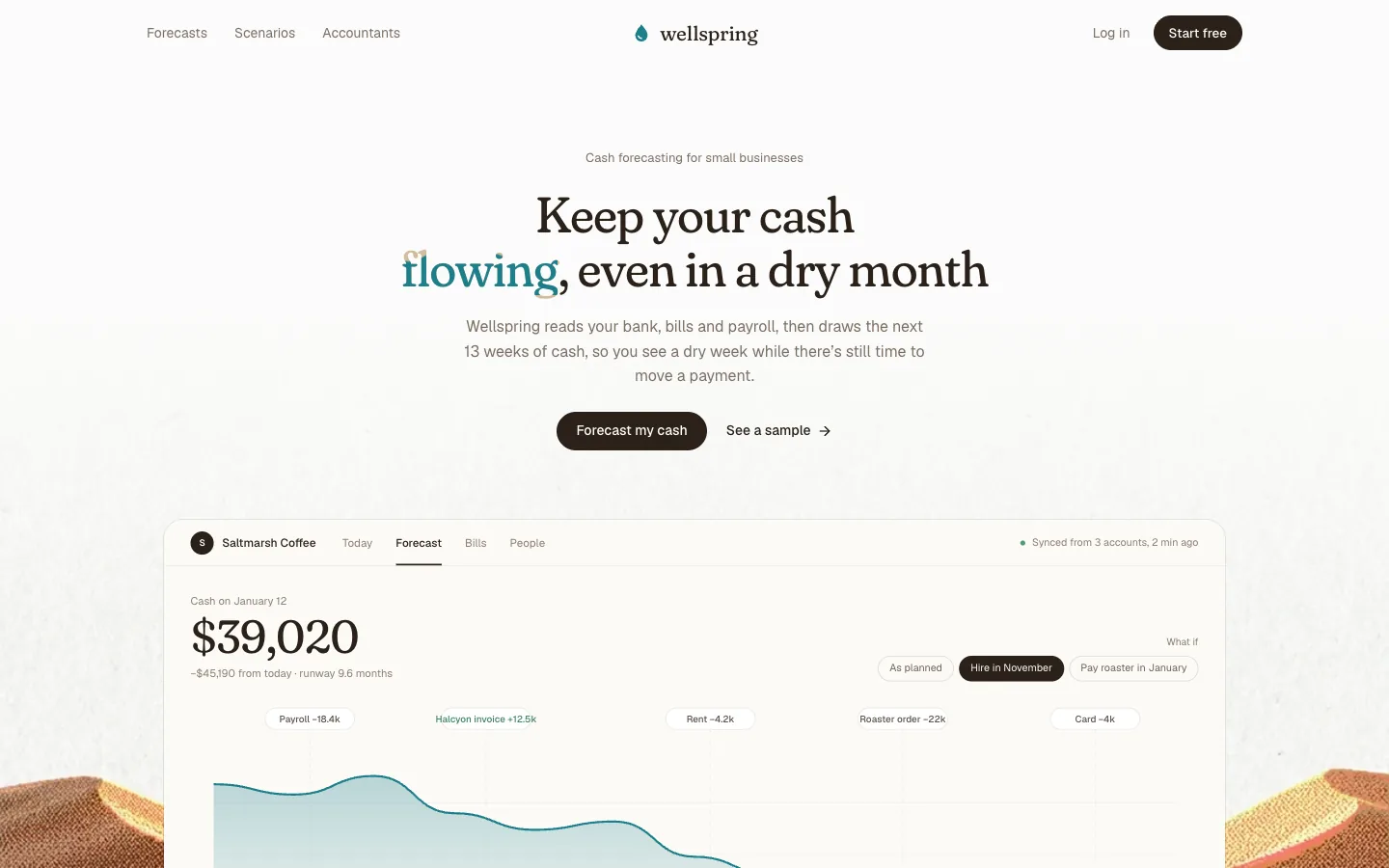 Cash-flow Hero preview