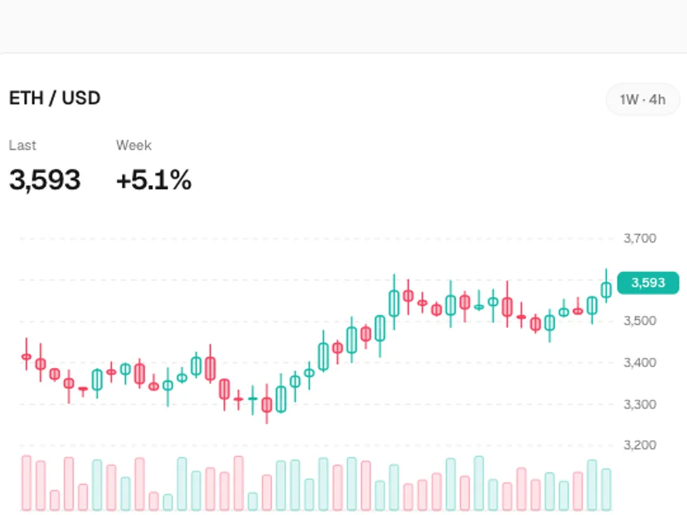 Outlined Candlestick Chart preview